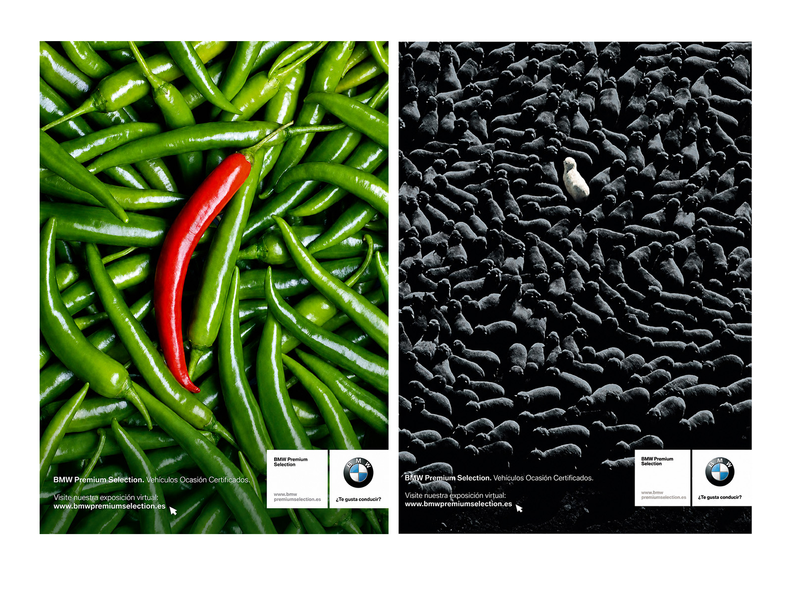 BMW Premium Selection campaign: a red chili among green chilies